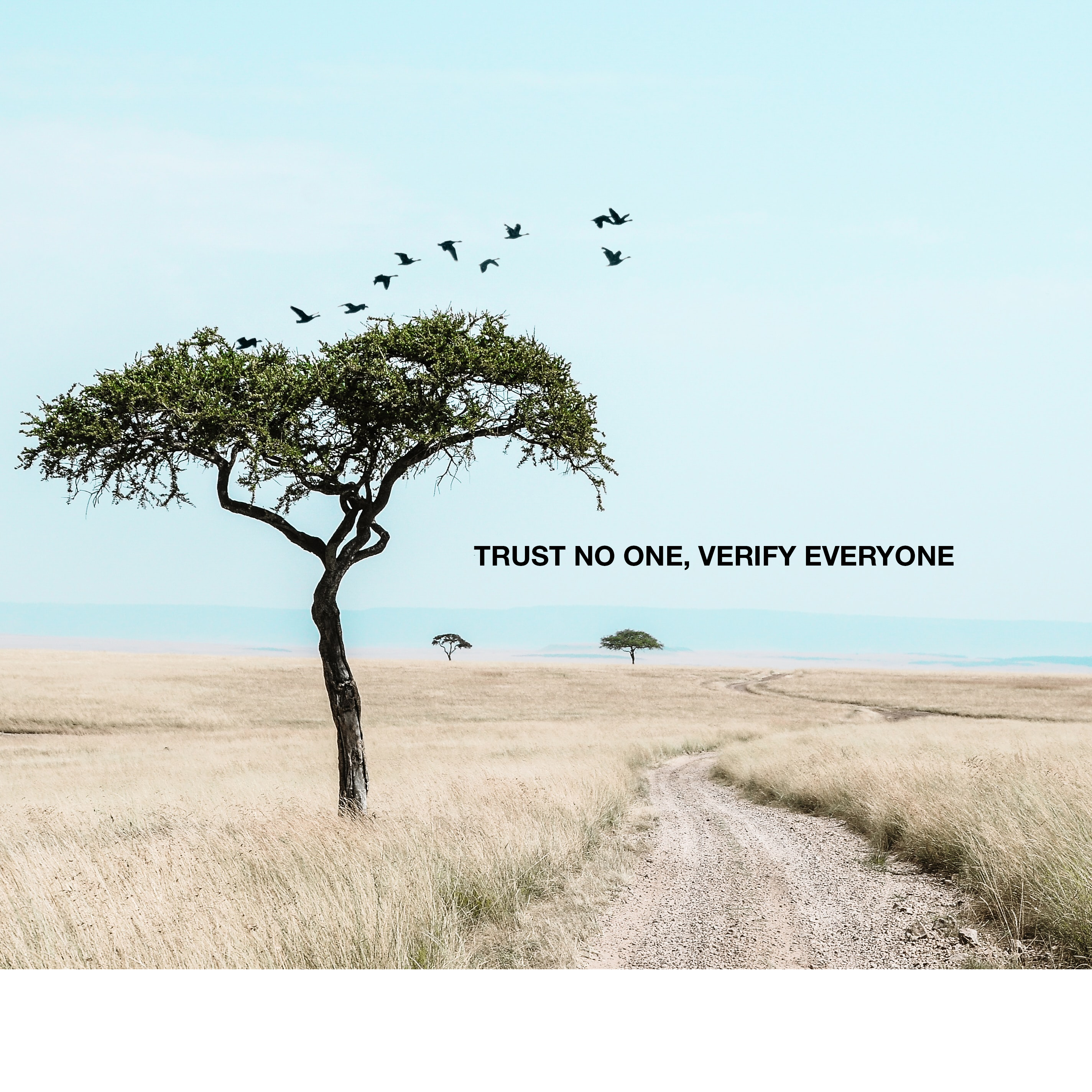 Von einer wahren Räubergeschichte in Kenia zu «Zero Trust»:  Vertraue keinem, überprüfe jeden