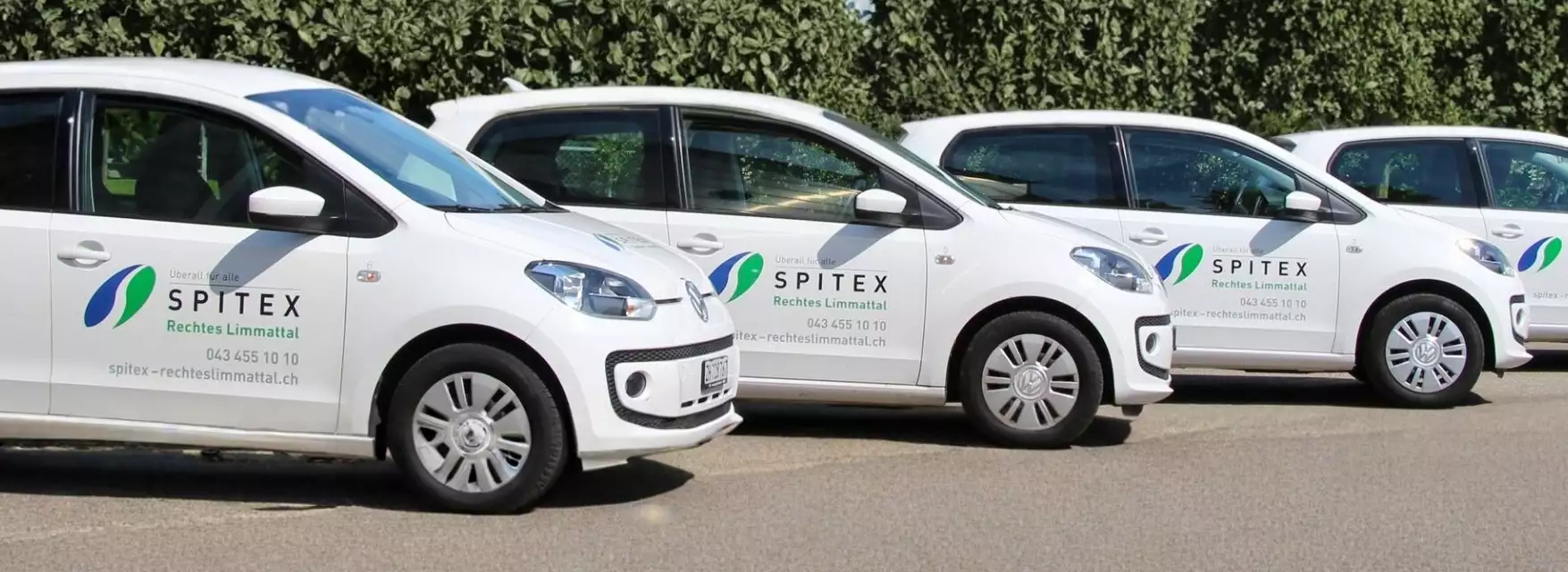 Reference Governance Spitex Rechtes Limmattal SPIE ICS